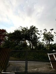 Cluny Park (D10), Detached #604383421